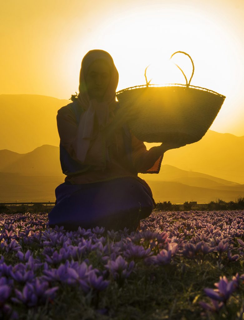 Lo zafferano come colorante nell'industria alimentare - Greenious